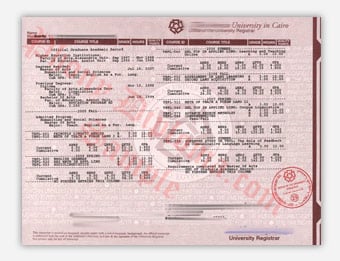 The American University in Cairo - Fake Diploma Sample from Egypt